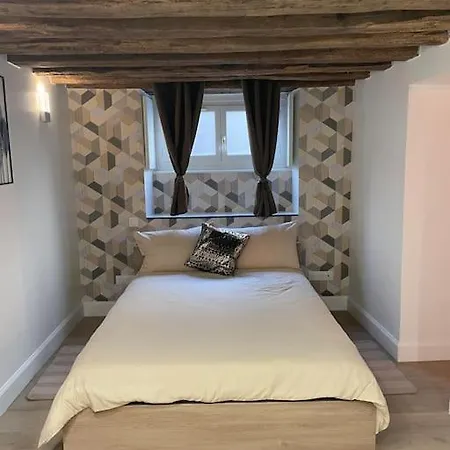 Cocon De Charme Coeur Historique Apartment Dijon
